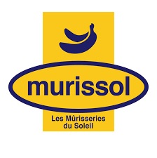 Logo Murissol